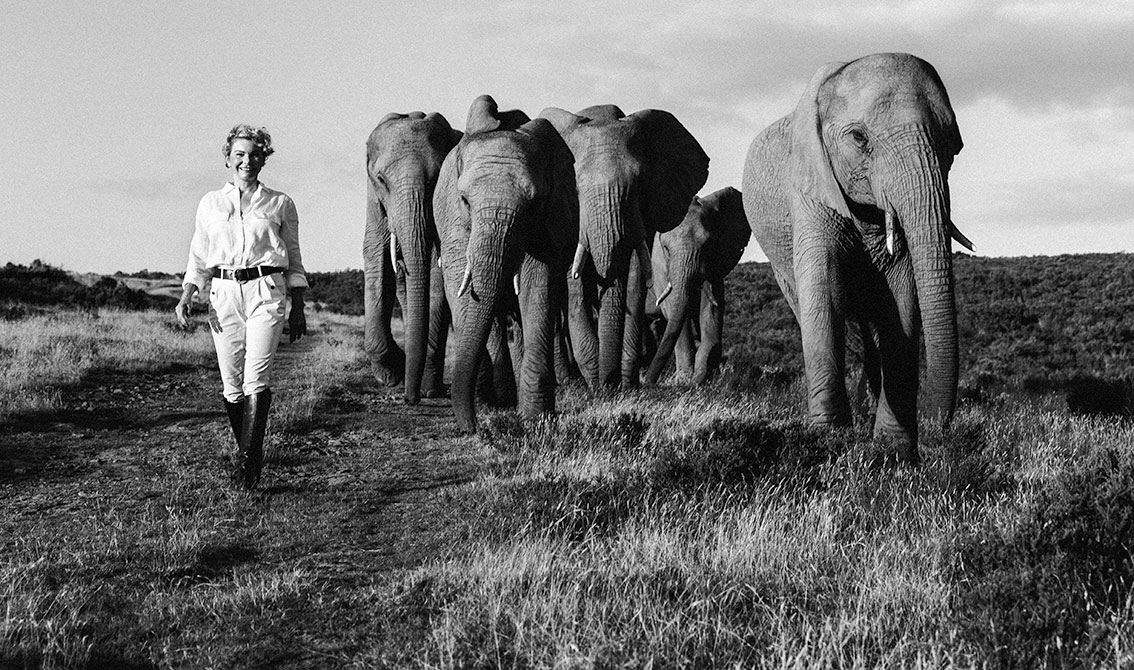 Botswana Exhibition